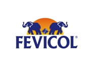 Fevicol